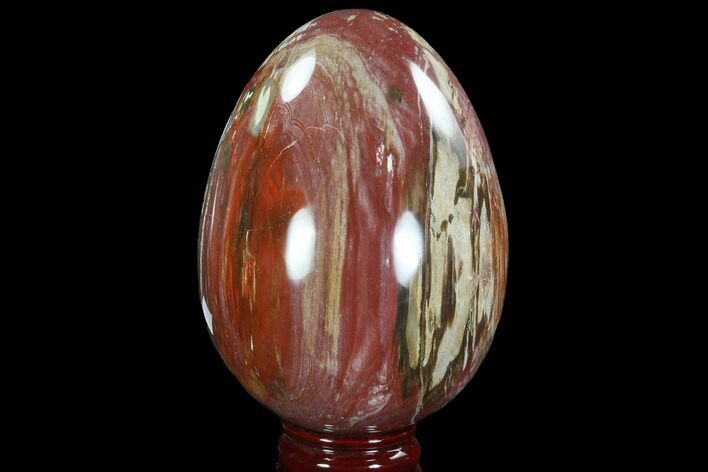 Colorful, Polished Petrified Wood Egg - Triassic #92412